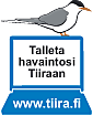 Talleta havaintosi Tiiraan